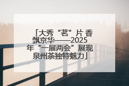 大秀“茗”片 香飘京华——2025年“一展两会”展现泉州茶独特魅力