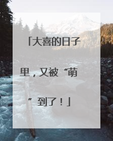 大喜的日子里，又被“萌”到了！