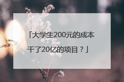 大学生200元的成本干了20亿的项目？
