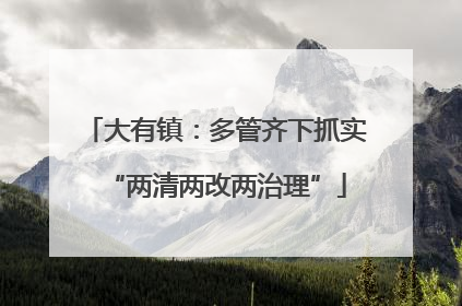 大有镇：多管齐下抓实“两清两改两治理”