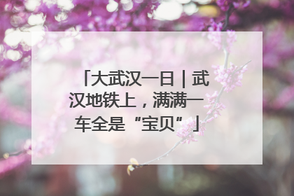 大武汉一日｜武汉地铁上，满满一车全是“宝贝”