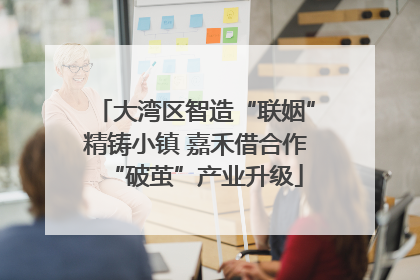 大湾区智造“联姻”精铸小镇 嘉禾借合作“破茧”产业升级