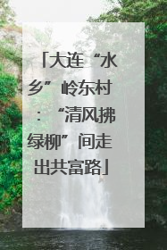 大连“水乡”岭东村：“清风拂绿柳”间走出共富路