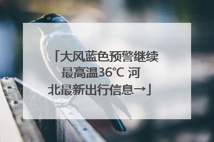 大风蓝色预警继续 最高温36℃ 河北最新出行信息→