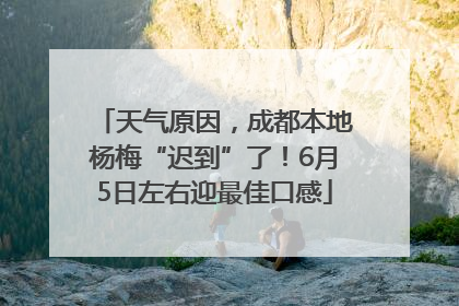 天气原因，成都本地杨梅“迟到”了！6月5日左右迎最佳口感