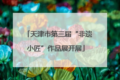 天津市第三届“非遗小匠”作品展开展