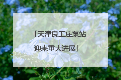 天津良王庄泵站迎来重大进展