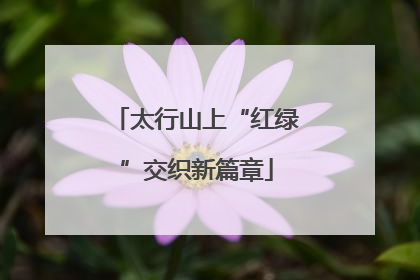 太行山上“红绿”交织新篇章