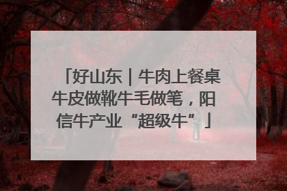 好山东｜牛肉上餐桌牛皮做靴牛毛做笔，阳信牛产业“超级牛”