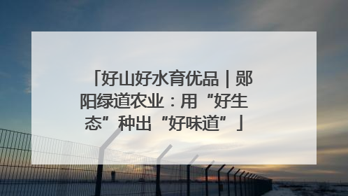 好山好水育优品｜郧阳绿道农业：用“好生态”种出“好味道”