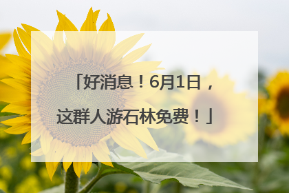 好消息！6月1日，这群人游石林免费！