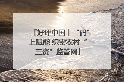 好评中国丨“码”上赋能 织密农村“三资”监管网