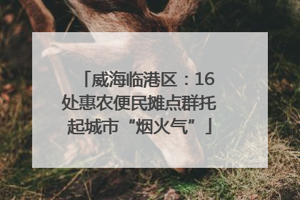 威海临港区：16处惠农便民摊点群托起城市“烟火气”