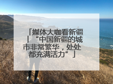媒体大咖看新疆丨“中国新疆的城市非常繁华，处处都充满活力”