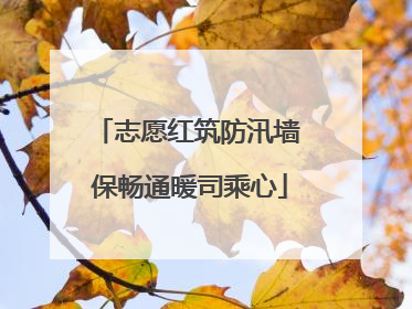 志愿红筑防汛墙 保畅通暖司乘心