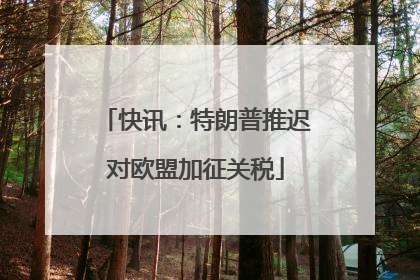 快讯：特朗普推迟对欧盟加征关税