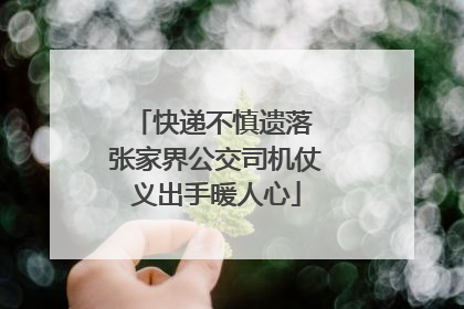 快递不慎遗落 张家界公交司机仗义出手暖人心
