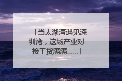 当太湖湾遇见深圳湾，这场产业对接干货满满……