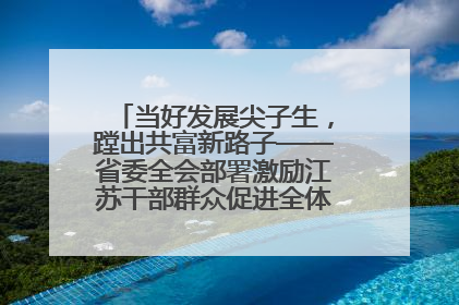 当好发展尖子生，蹚出共富新路子——省委全会部署激励江苏干部群众促进全体人民共同富裕