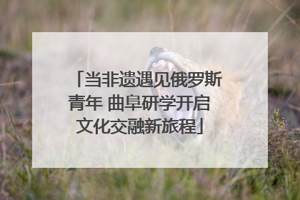 当非遗遇见俄罗斯青年 曲阜研学开启文化交融新旅程
