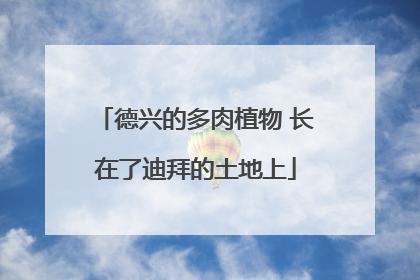 德兴的多肉植物 长在了迪拜的土地上