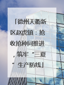 德州天衢新区赵虎镇：抢收抢种同推进，筑牢“三夏”生产防线