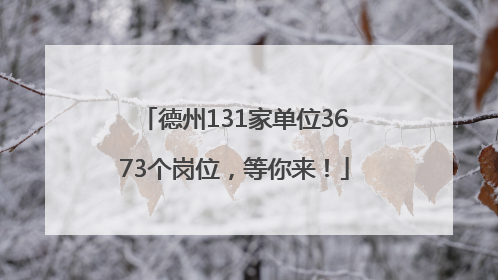 德州131家单位3673个岗位，等你来！