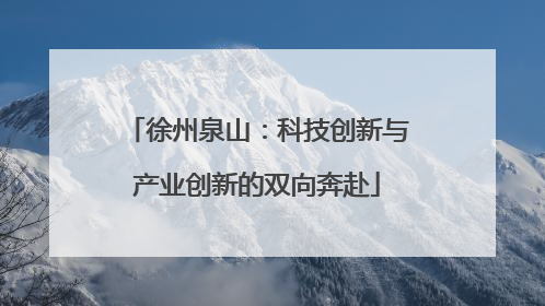 徐州泉山：科技创新与产业创新的双向奔赴