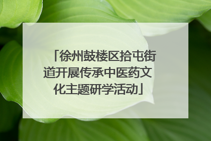 徐州鼓楼区拾屯街道开展传承中医药文化主题研学活动