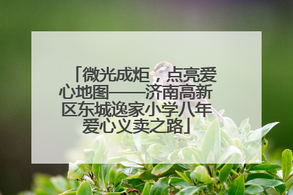 微光成炬，点亮爱心地图——济南高新区东城逸家小学八年爱心义卖之路