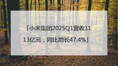 小米集团2025Q1营收1113亿元，同比增长47.4%