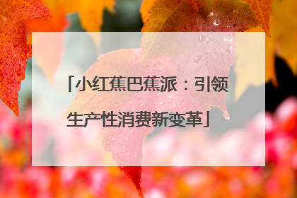 小红蕉巴蕉派：引领生产性消费新变革