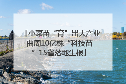 小菜苗“育”出大产业 曲周10亿株“科技苗”15省落地生根