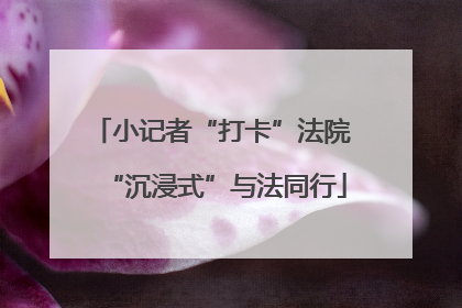 小记者“打卡”法院 “沉浸式”与法同行