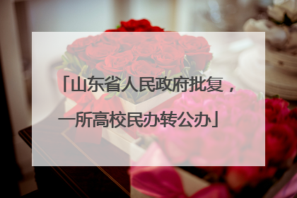 山东省人民政府批复，一所高校民办转公办