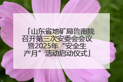 山东省地矿局鲁南院召开第三次安委会会议暨2025年“安全生产月”活动启动仪式