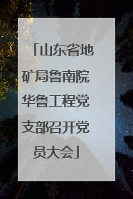 山东省地矿局鲁南院华鲁工程党支部召开党员大会
