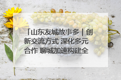 山东友城故事多｜创新交流方式 深化多元合作 聊城加速构建全球友城新格局