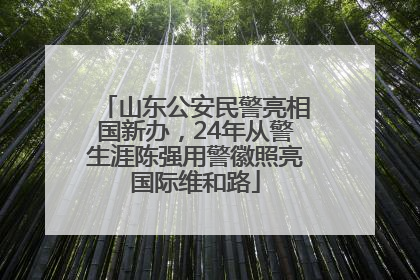 山东公安民警亮相国新办，24年从警生涯陈强用警徽照亮国际维和路