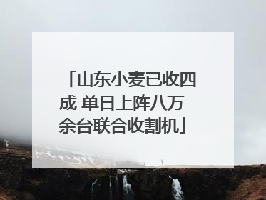 山东小麦已收四成 单日上阵八万余台联合收割机
