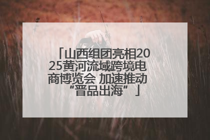 山西组团亮相2025黄河流域跨境电商博览会 加速推动“晋品出海”