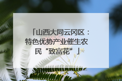 山西大同云冈区：特色优势产业催生农民“致富花”