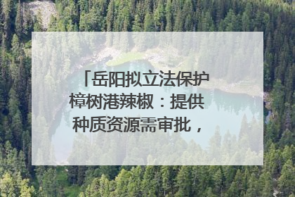 岳阳拟立法保护樟树港辣椒：提供种质资源需审批，违规最高罚5万