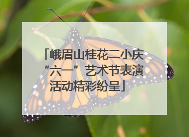 峨眉山桂花二小庆“六一”艺术节表演活动精彩纷呈