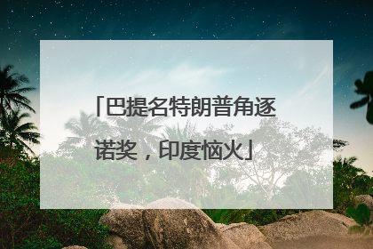 巴提名特朗普角逐诺奖，印度恼火