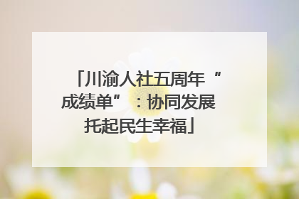 川渝人社五周年“成绩单”：协同发展托起民生幸福