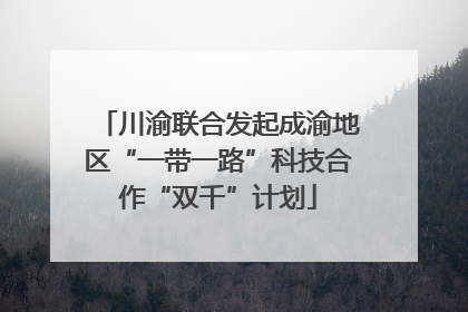 川渝联合发起成渝地区“一带一路”科技合作“双千”计划