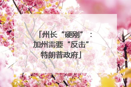 州长“硬刚”：加州需要“反击”特朗普政府