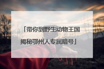 带你到野生动物王国揭秘鄂州人专属暗号