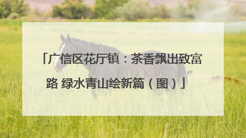 广信区花厅镇：茶香飘出致富路 绿水青山绘新篇（图）
